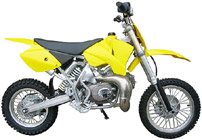 110cc single-cylinder four stroke water-cooled Dirt Bike from China